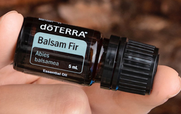 Balsam Fir Essential Oil