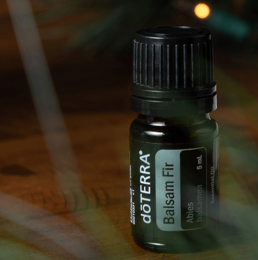 Balsam Fir Essential Oil