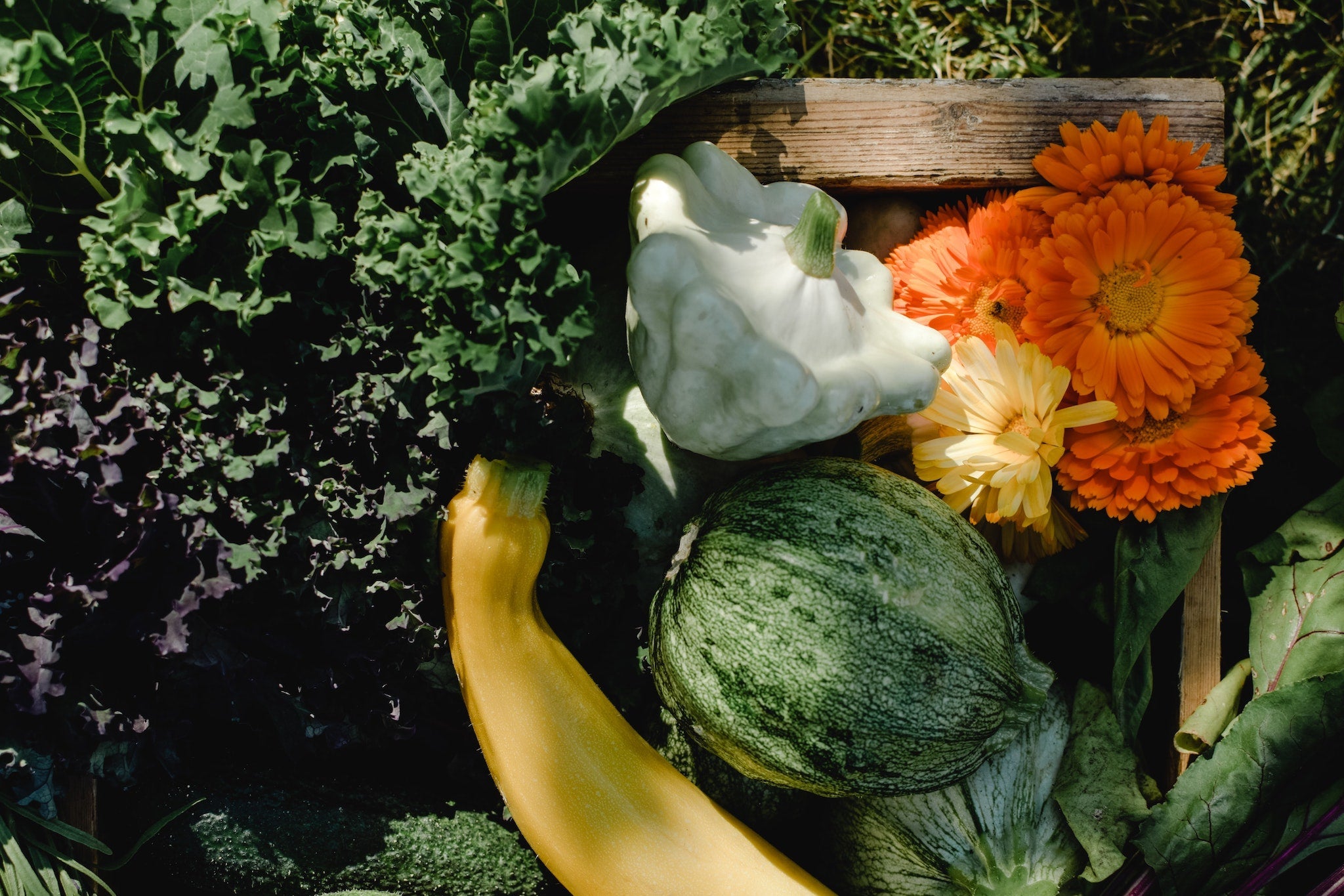 CSA Box of vegetables