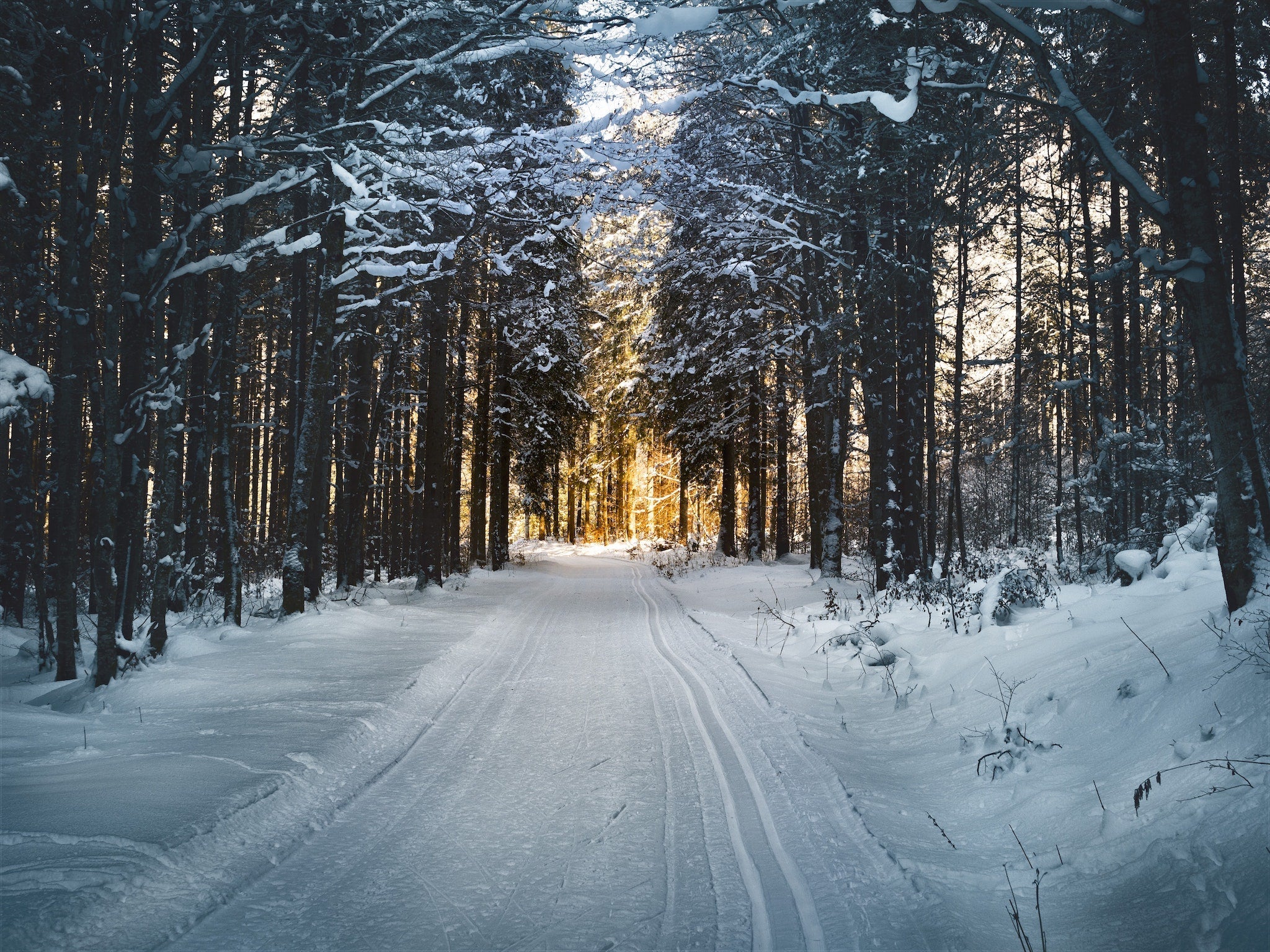 snowy landscape