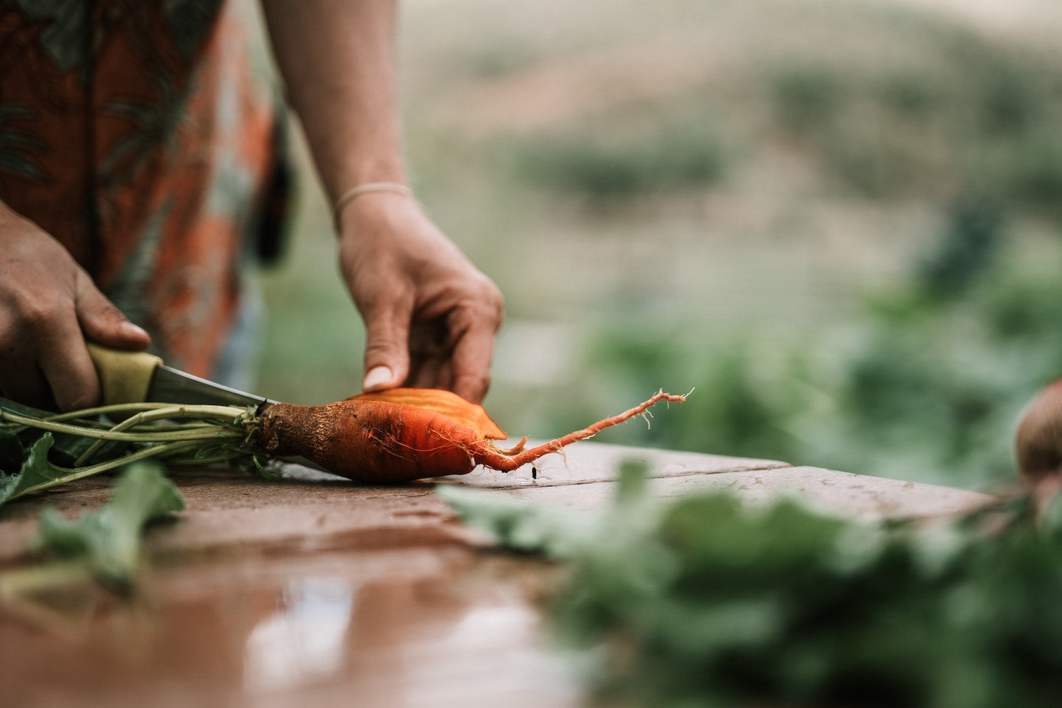 Chopping fresh carrot