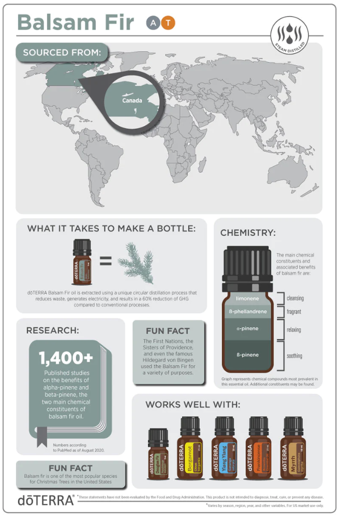 Balsam Fir Essential Oil