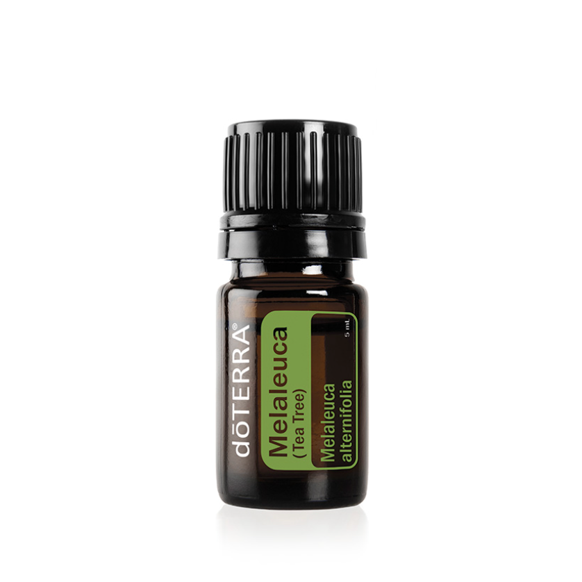 Tea Tree Essential Oil | 5ml