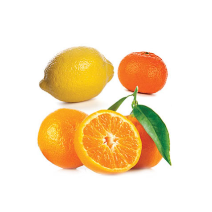 Citrus Bliss® Invigorating Blend